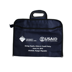 портфель usaid.png